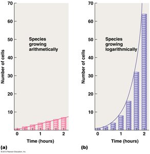 Arithmetic vs logarithmic growth and microbial growth curve