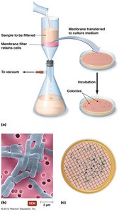 Membrane filtration method