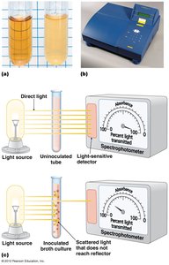 Spectrophotometry for measuring turbidity