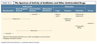 Table showing the spectrum of activity of antibiotics and other antimicrobial drugs