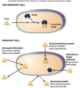 Diagram of resistance mechanisms in bacteria