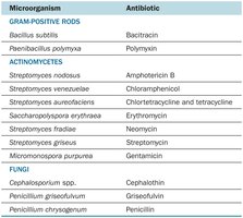 Table of Microorganisms and Antibiotics Produced