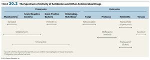 Spectrum of Activity of Antibiotics and Other Antimicrobial Drugs