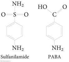 Sulfanilamide and PABA structures