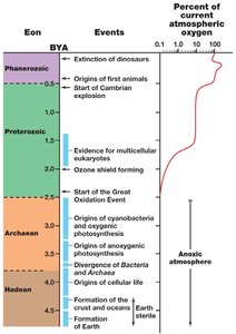 Timeline of Earth's history and oxygenation events