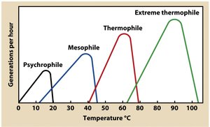 Temperature ranges for microbial growth