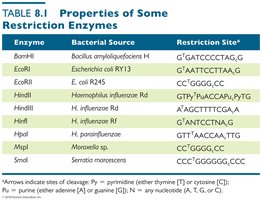 Properties of some restriction enzymes