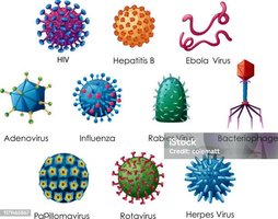 Various virus shapes and types