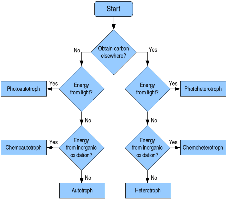 Flowchart of nutritional categories
