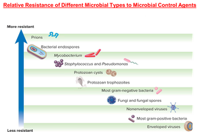 Relative resistance of microbial types to control agents