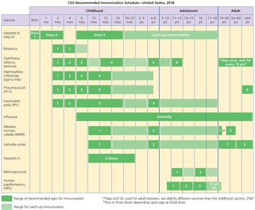 CDC recommended immunization schedule