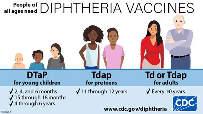 Diphtheria vaccine schedule infographic