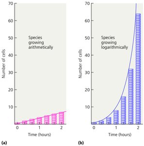 Arithmetic vs. logarithmic growth curves