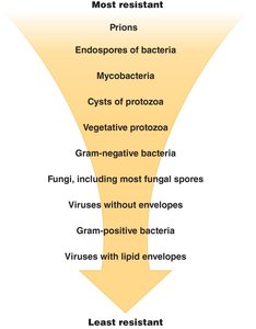 Arrow diagram showing microbial resistance hierarchy