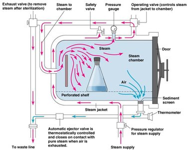 Diagram of an autoclave showing steam flow and chamber components