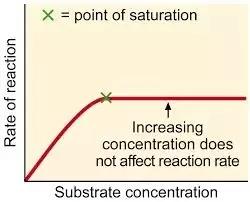 Graph of enzymatic activity vs pH