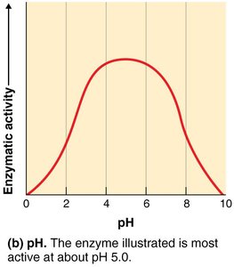 Competitive inhibition of enzyme activity