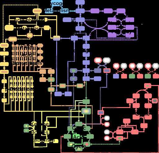 Complex metabolic pathway map