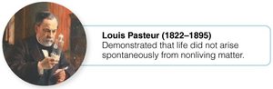 Louis Pasteur