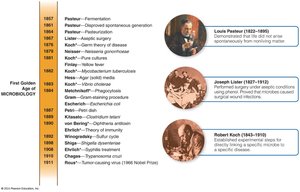 Milestones in the First Golden Age of Microbiology