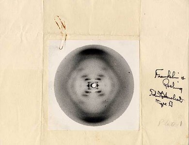 X-ray diffraction image of DNA (Photo 51)