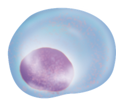 Gene therapy using retroviruses