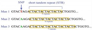 SNP and STR genotyping example