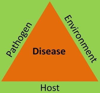 Disease triangle: Pathogen, Host, Environment