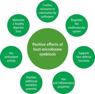 Positive effects of host-microbiome symbiosis