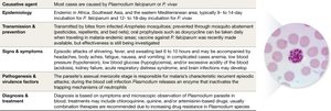 Plasmodium falciparum image