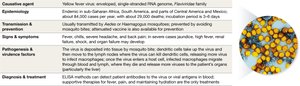 Yellow fever virus image