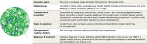 Zika virus image
