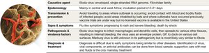 Ebola virus image