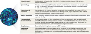 Epstein-Barr virus image