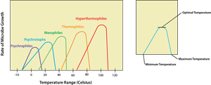 Temperature ranges for microbial growth and classification