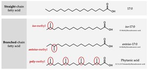 Branched-chain fatty acids