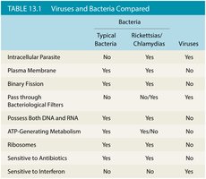 Table comparing viruses and bacteria
