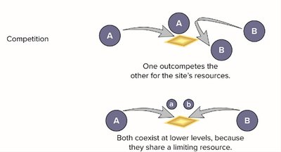 Diagram of competition outcomes