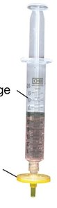 Syringe with membrane filter for filtration