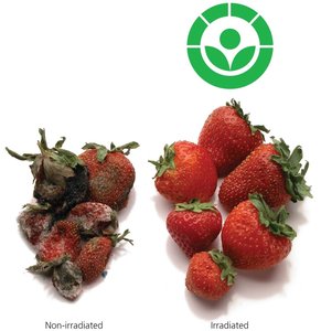Comparison of irradiated and non-irradiated strawberries with Radura symbol