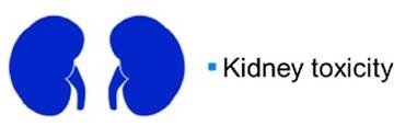 Liver toxicity