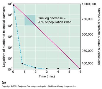 Graph showing logarithmic decrease in microbial survivors over time
