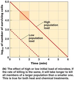 Graph showing effect of initial microbial load on time required for killing