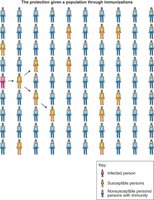 Diagram showing herd immunity in a population