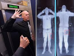 Airport security as analogy for innate immunity