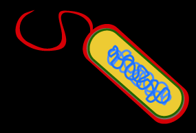 Diagram of pattern recognition
