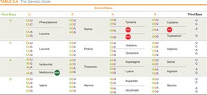 Genetic code table