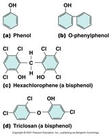 Phenol and derivatives structures