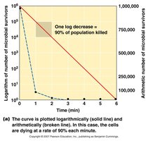 Microbial Death Curve