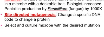 Site-directed mutagenesis